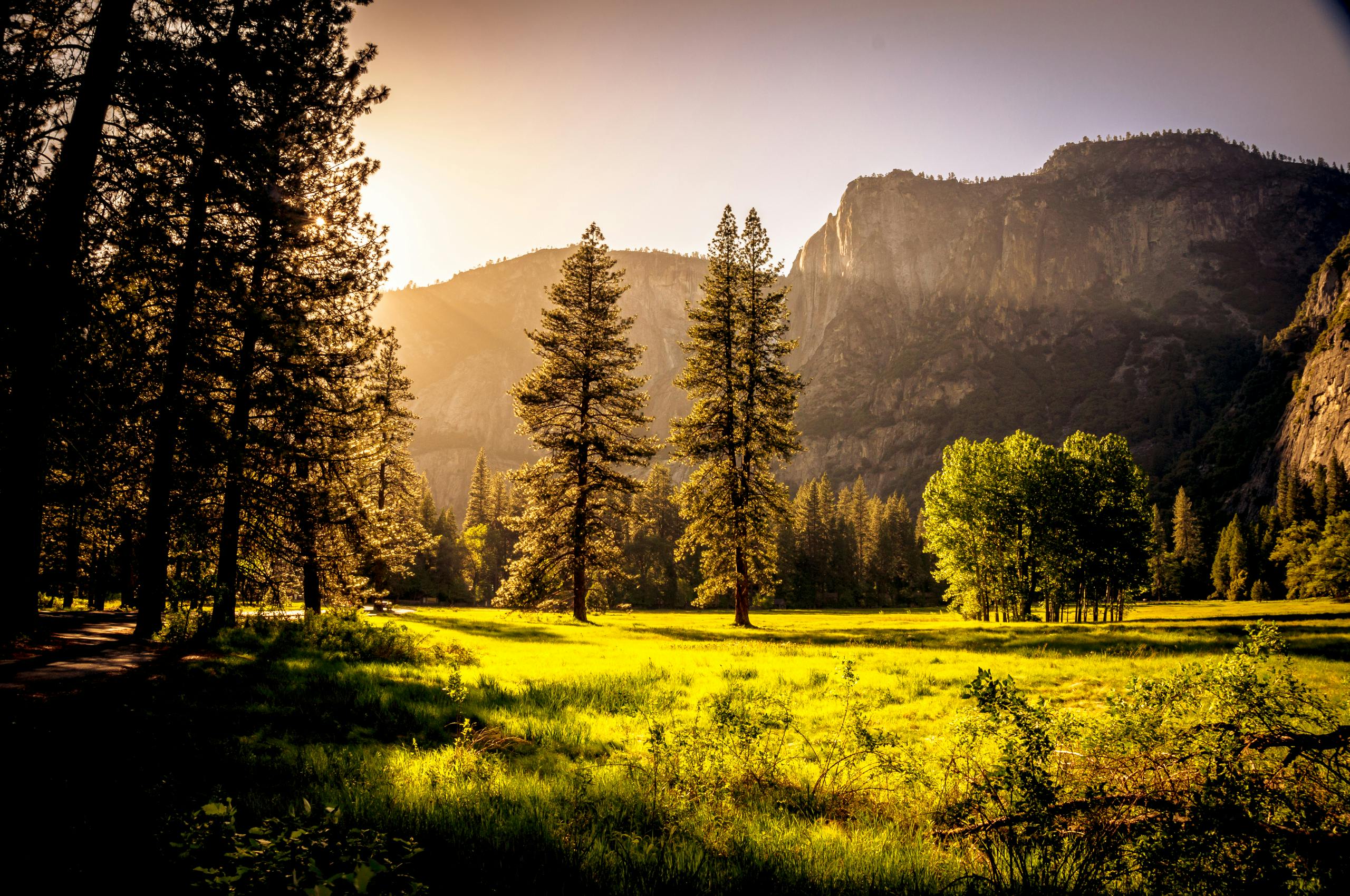 Paysage vert